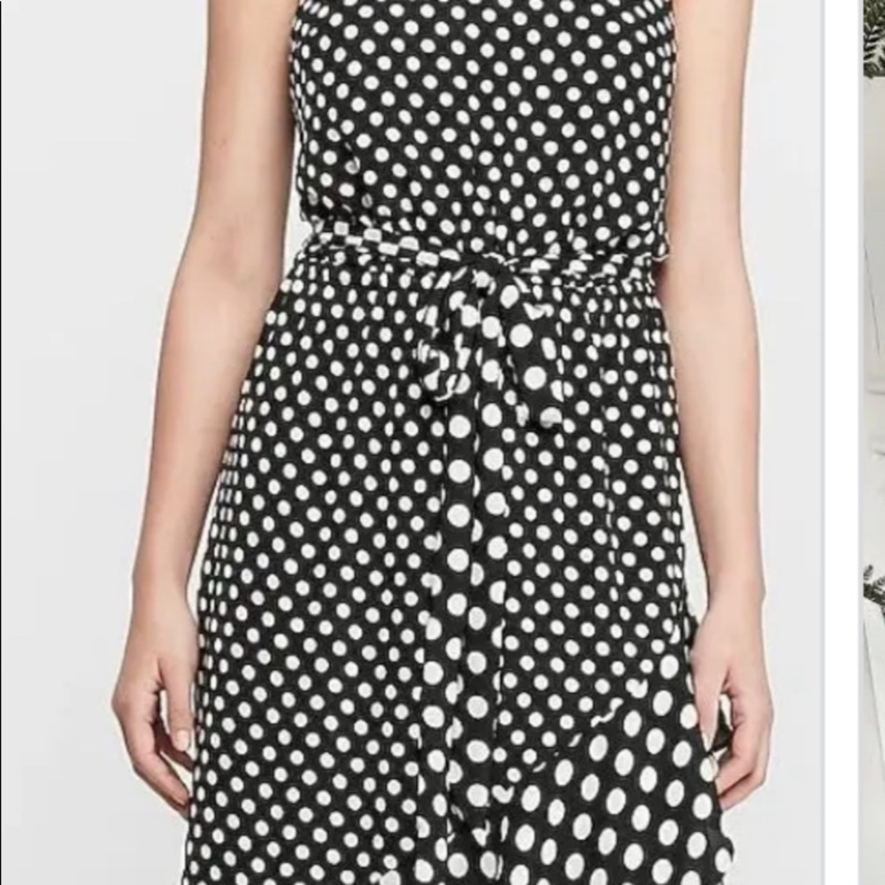 Express Polka Dot Dress